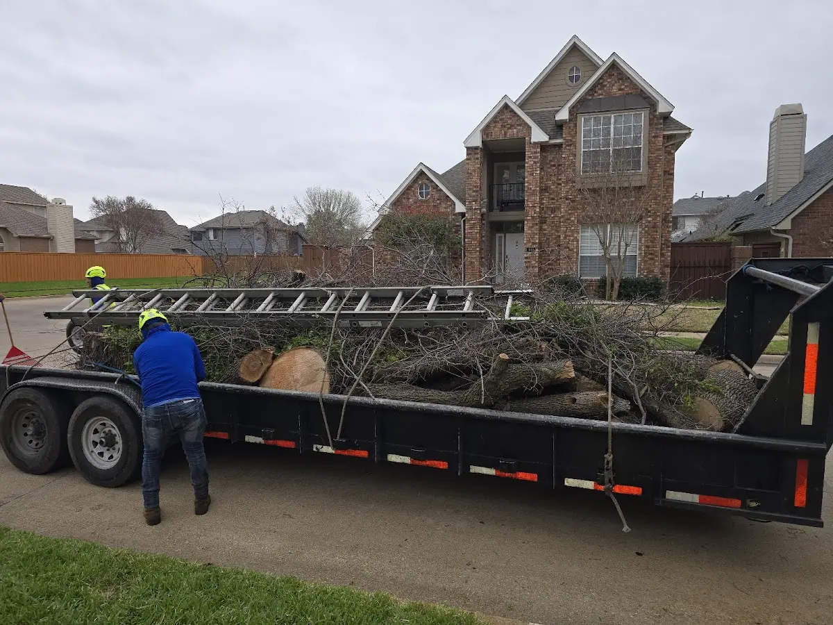 Expert Lot Clearing with proper safety equipment in Ogema